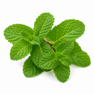 Topping - Menthe